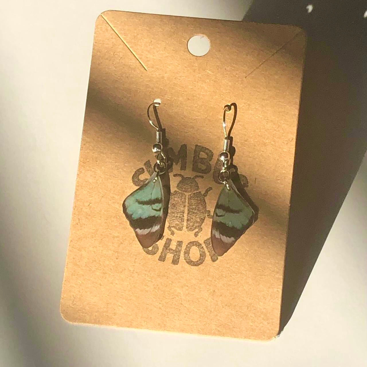 Blue Resin Butterfly Wing Earrings