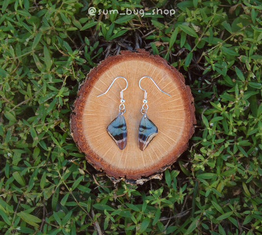 Blue Resin Butterfly Wing Earrings